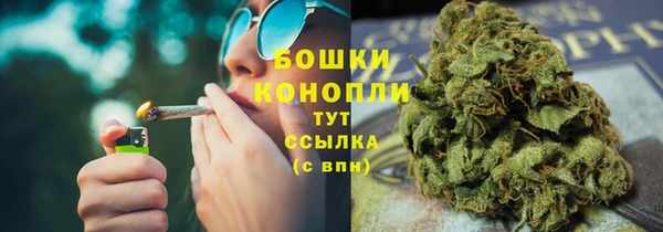 дживик Баксан