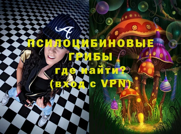 шишки Балабаново