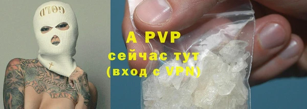 шишки Балабаново