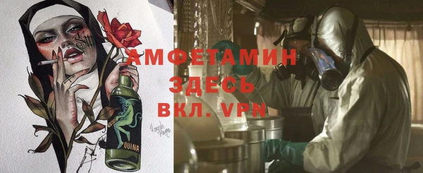 шишки Балабаново