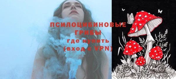 дживик Баксан