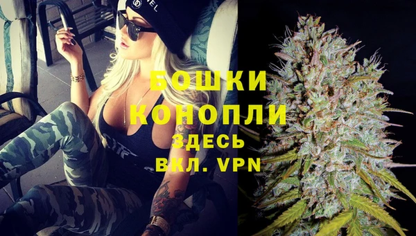 шишки Балабаново